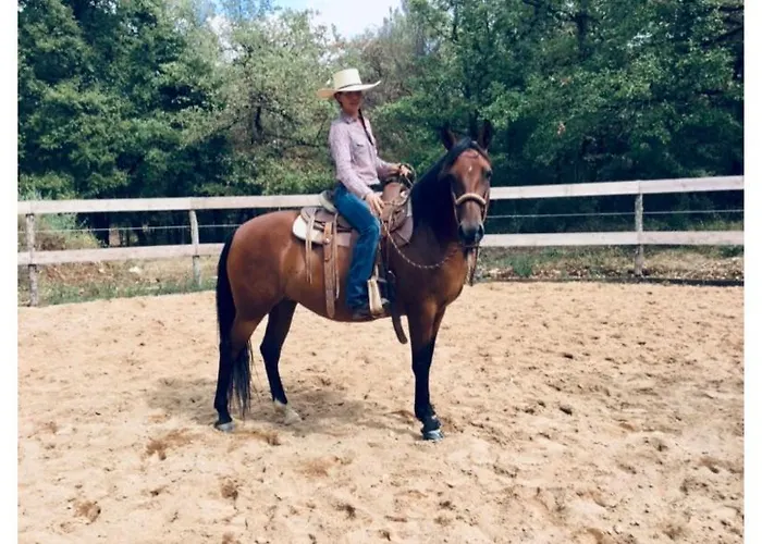 La Longère Bleue * Caylus